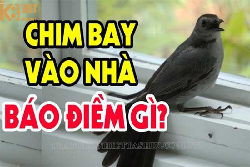 Giải mã điềm báo khi chim vào nhà