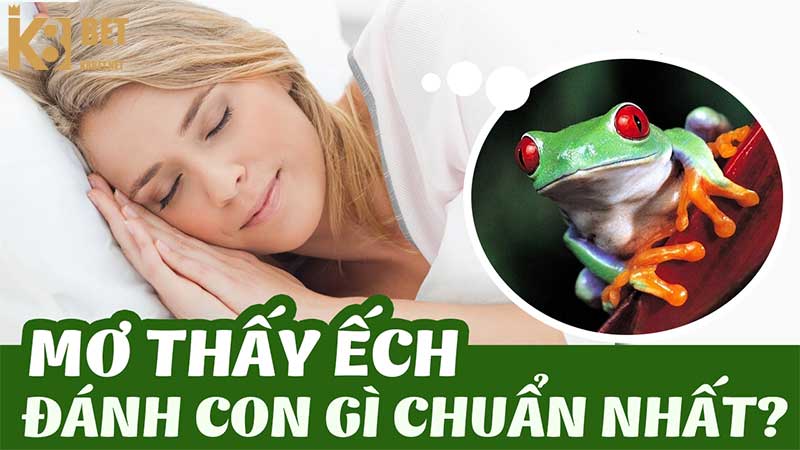 Mơ thấy ếch nên đánh con gì