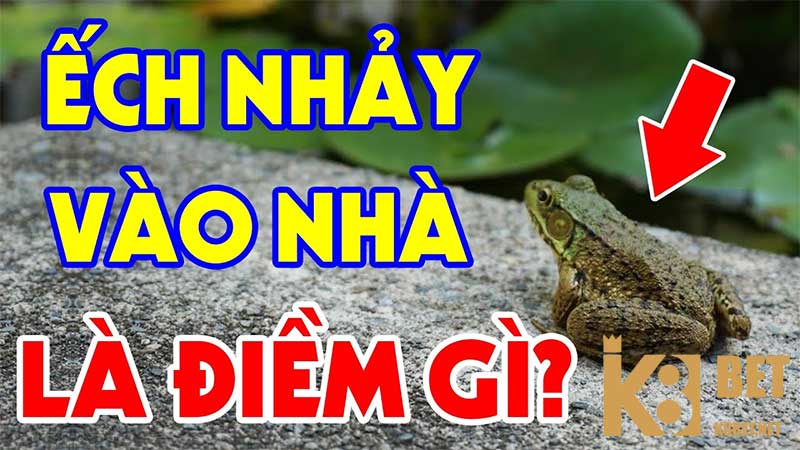 Ý nghĩa mơ thấy ếch nhảy vào nhà