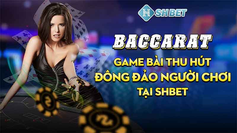 Chơi baccarat tại shbet