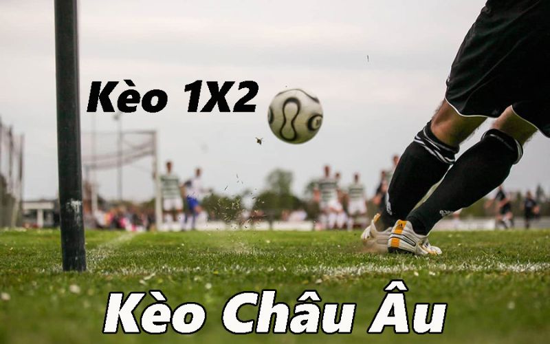 Kèo châu Âu là kèo cược đơn giản, được nhiều người lựa chọn